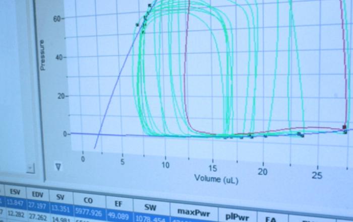 Best-Practices to Achieve Quality Pressure-Volume Loop Data in Rodents