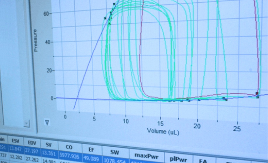 Best-Practices to Achieve Quality Pressure-Volume Loop Data in Rodents
