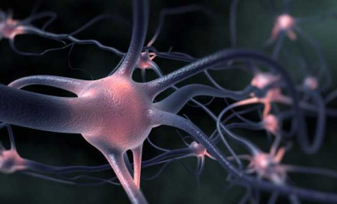 In Vivo Research Approaches in the Study of Neurological Disease and Psychiatric Disorders
