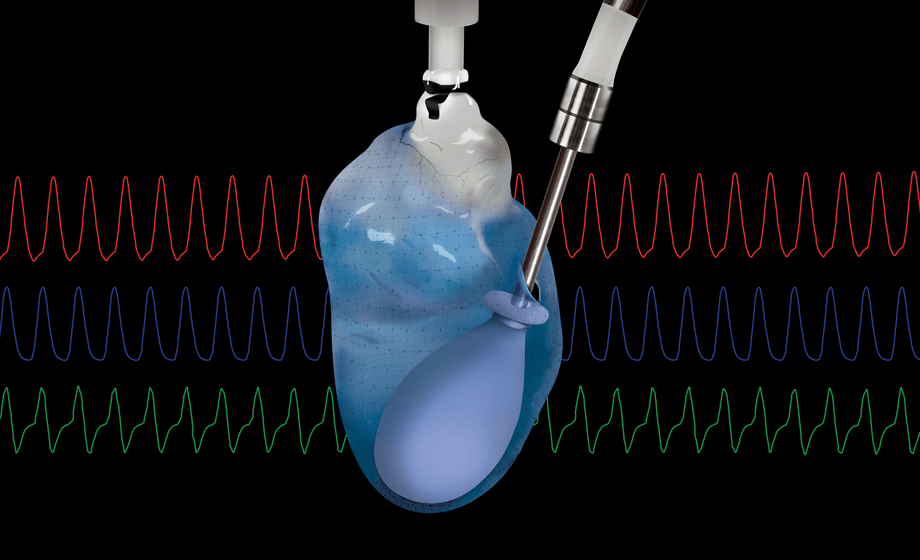 An Introduction to Isolated Langendorff Heart: Experimental Considerations and Best Practices