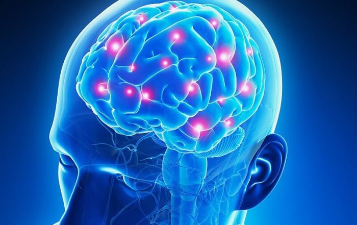Combining Optical Brain Imaging and Physiological Signals to Study Cognitive Function