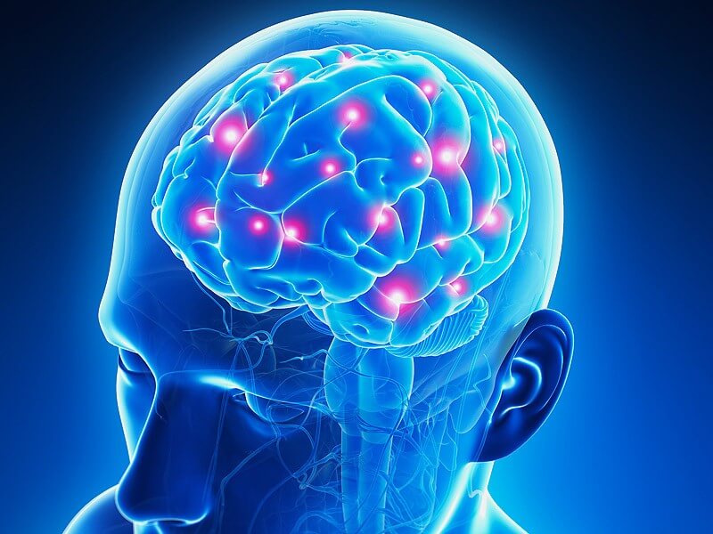 Combining Optical Brain Imaging and Physiological Signals to Study Cognitive Function