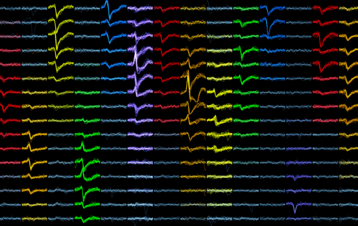 Employing Electrophysiology and Optogenetics to Measure and Manipulate Neuronal Activity in Laboratory Animals