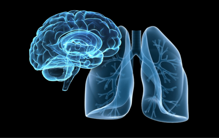 Understanding Physiological Mechanisms of Opioid Addiction: Advancements in CNS and Respiratory Endpoint Measurement