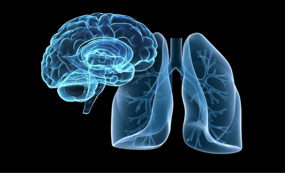 Understanding Physiological Mechanisms of Opioid Addiction: Advancements in CNS and Respiratory Endpoint Measurement