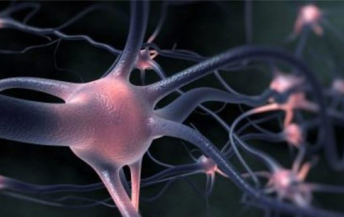 EEG and Telemetry: Best Practices for Managing Large Data Sets to Investigate Key Aspects of Epilepsy in Rodent Models