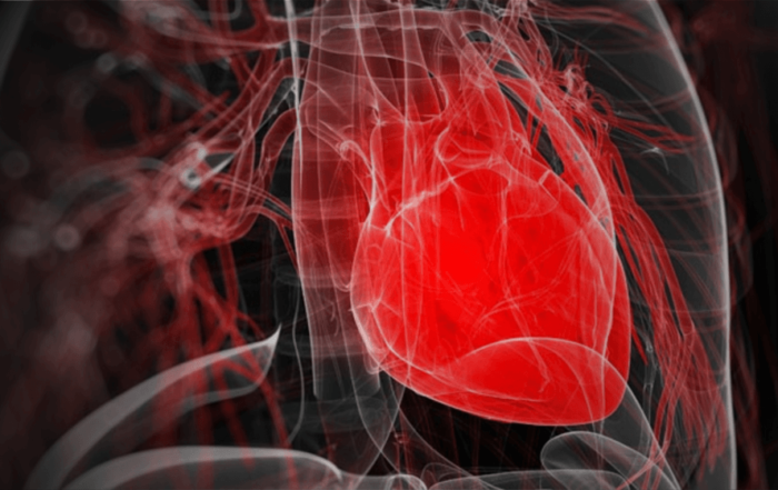 Combining Telemetry and Ultrasound for Serial Investigation of Cardiovascular Function in Rats