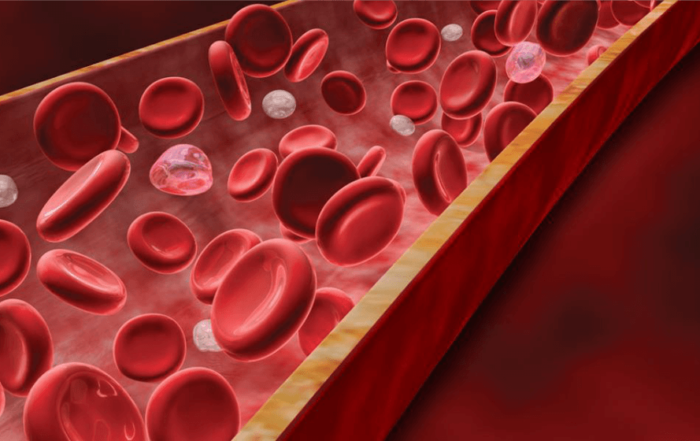 From Mouse to Monkey: Revolutionizing Research via Preclinical Continuous Glucose Telemetry
