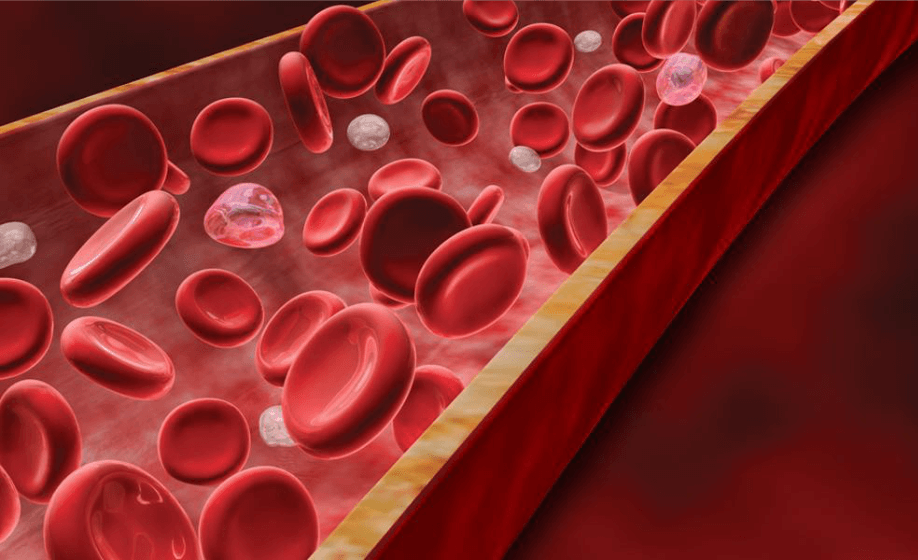 From Mouse to Monkey: Revolutionizing Research via Preclinical Continuous Glucose Telemetry