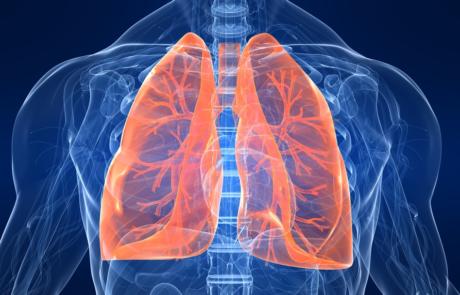 Understanding the Issues Affecting the Accuracy of Measuring Oxygen Consumption Utilizing Metabolic Carts