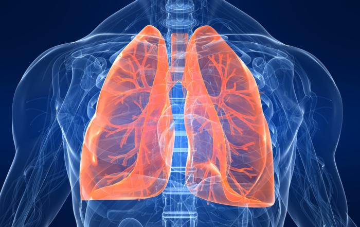 Understanding the Issues Affecting the Accuracy of Measuring Oxygen Consumption Utilizing Metabolic Carts