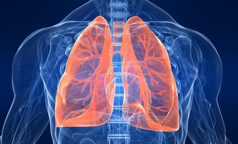 Understanding the Issues Affecting the Accuracy of Measuring Oxygen Consumption Utilizing Metabolic Carts