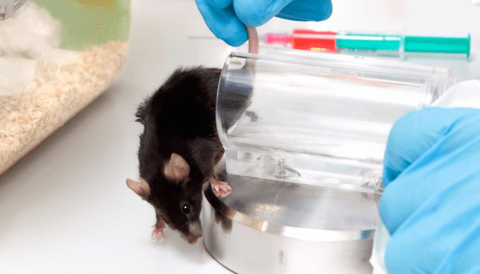 The Future of Metabolic Phenotyping: Using data bandwidth to maximize N