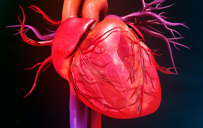 Experimental Considerations when Planning Chronic Models of Cardiovascular Disease in Rodents