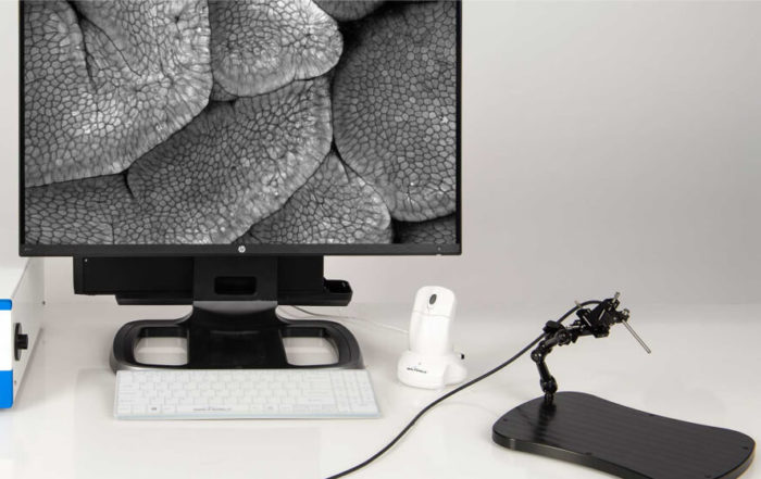 Preclinical Imaging with Fluorescence In Vivo Endomicroscopy
