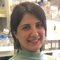 Téa Tsaava, ;PhD