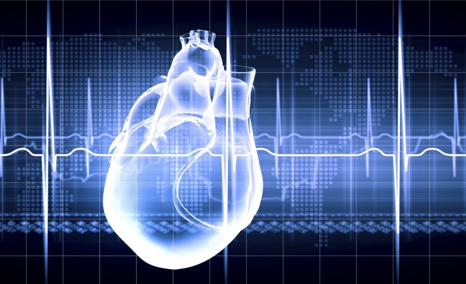 Improving Preclinical and Clinical Regulatory Submissions Through Enhanced ECG Interval and Arrhythmia Assessment