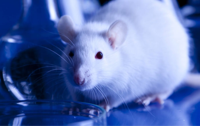 Automated Quantitative Measures of Forelimb Function in Rats and Mice
