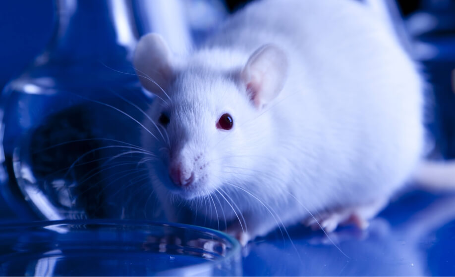 Automated Quantitative Measures of Forelimb Function in Rats and Mice