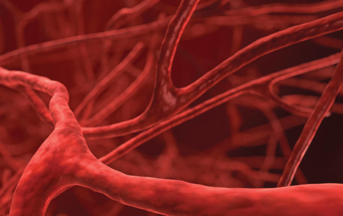 Getting Started with In-Vitro Blood Vessel Research