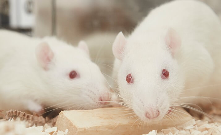 Monitoring Food Intake