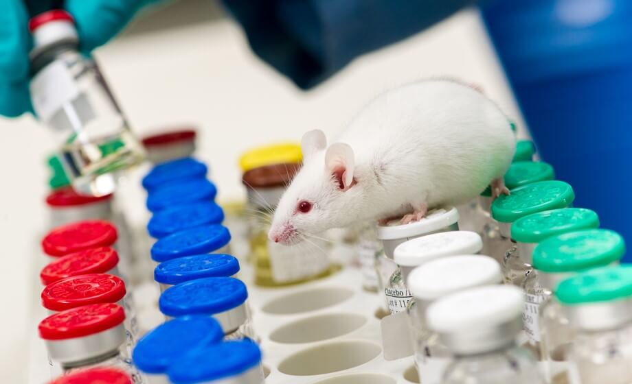 White Paper – Advancing Cancer Treatments with ALZET® Osmotic Pumps