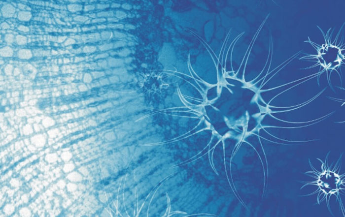 Novel Method for Superior Lead Optimisation – Application to the Antiviral AZ