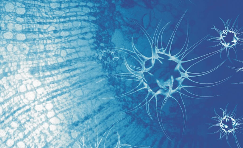 Novel Method for Superior Lead Optimisation – Application to the Antiviral AZT
