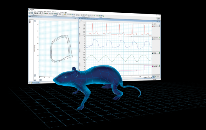 Cardiac PV Loop Data Analysis: Tips & Tricks