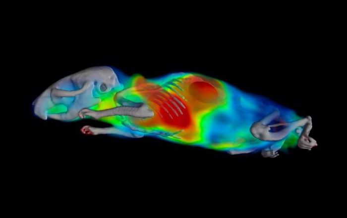 Ensuring Quantitative Accuracy in PET