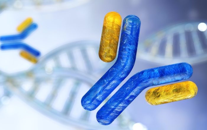 Introduction to Antibodies and their Analytical Characterization