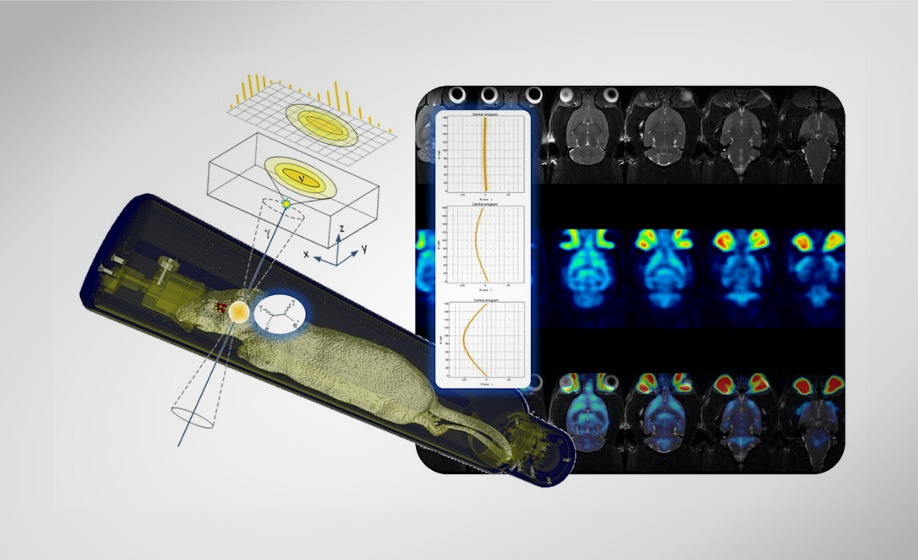 PET Image Reconstruction Overview - Current and Future Trends