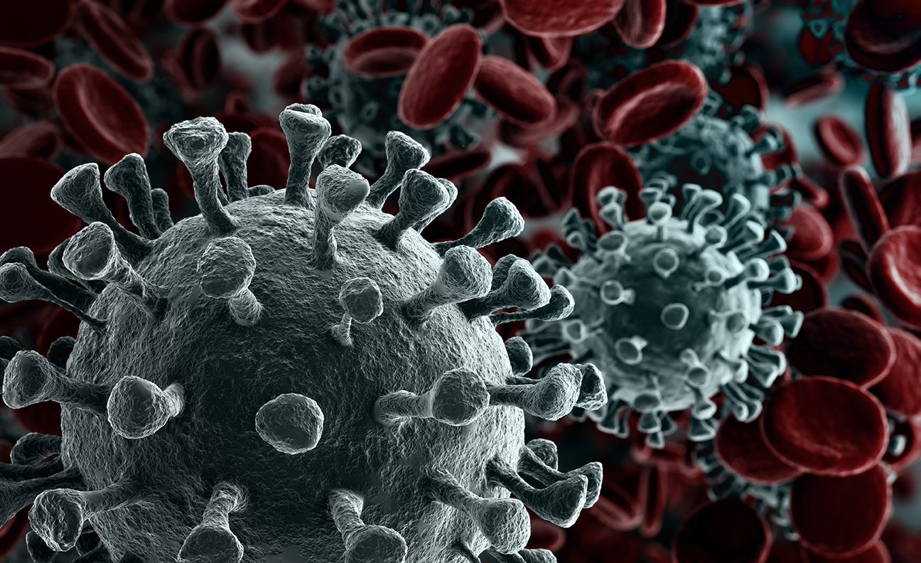 Infectious Disease Research: A Holistic Approach to Physiologic Data Collection and Model Development