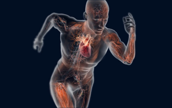 Advancements in Exercise Physiology, Sports Science and Biomechanics