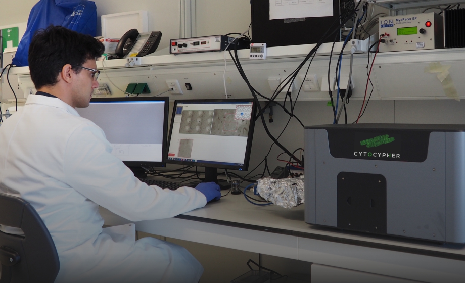 A Comprehensive How-To Demonstration of Higher Throughput Excitation-Contraction Coupling Investigations