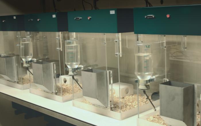 Lessons From The Core: Longitudinal Assessment vs. Point Sampling of Behaviors in Mice