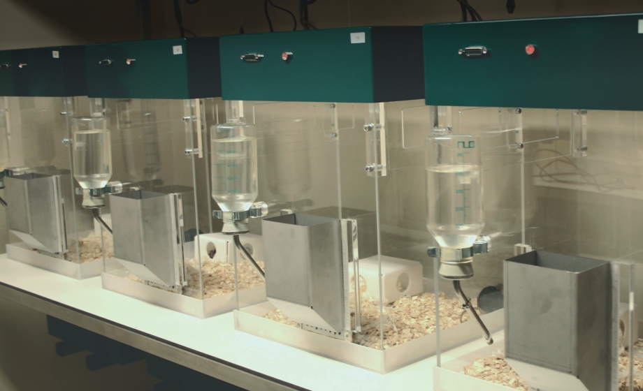 Lessons from the Core - Longitudinal Assessment versus Point Sampling of Behaviors In Mice-Noldus