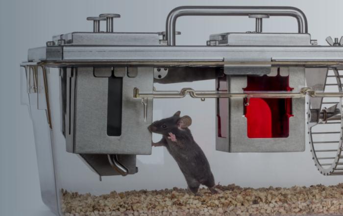 Sex, Sugar, Fat, and Heat: Factors That Affect Energy Budgets, Weight Management and Behaviors in Mice