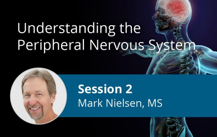 Understanding the Peripheral Nervous System