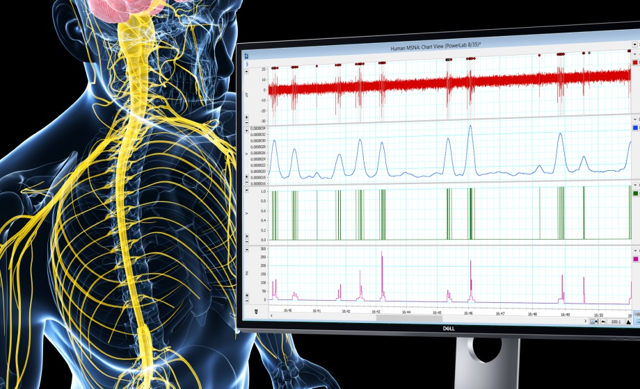 Measuring and Quantifying Sympathetic Control of the Cutaneous Microvasculature