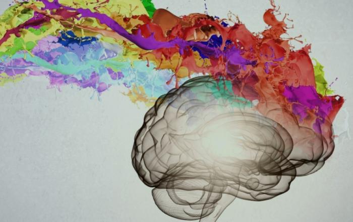 Reductions in Impulsivity in an Animal Model of Attention Deficit Hyperactivity Disorder (ADHD)