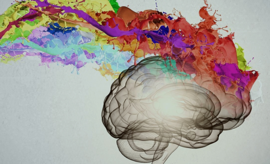 Reductions in Impulsivity in an Animal Model of Attention Deficit Hyperactivity Disorder (ADHD)