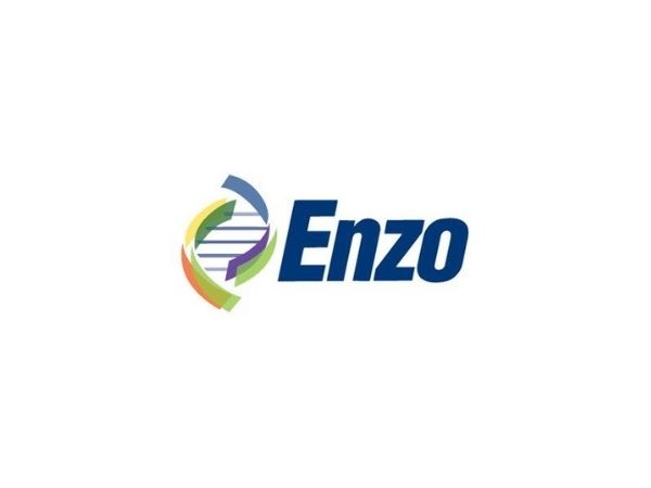 Enzo