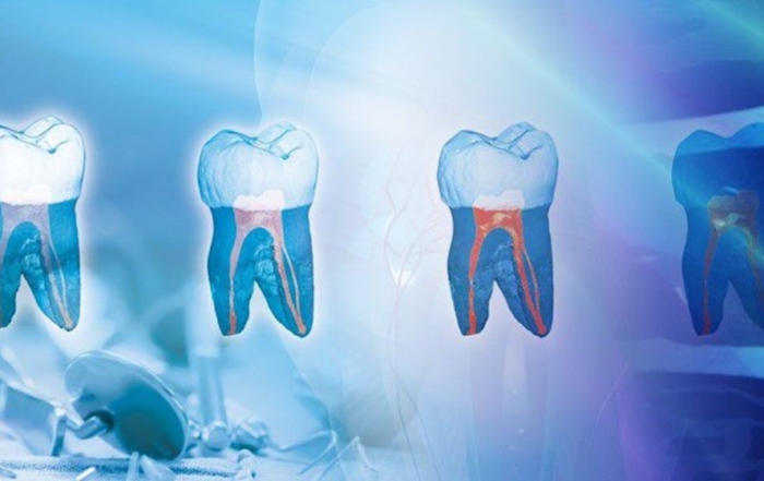 Micro-CT in 3D Data Integration and (Clinical) Workflows for Digital Orthodontics