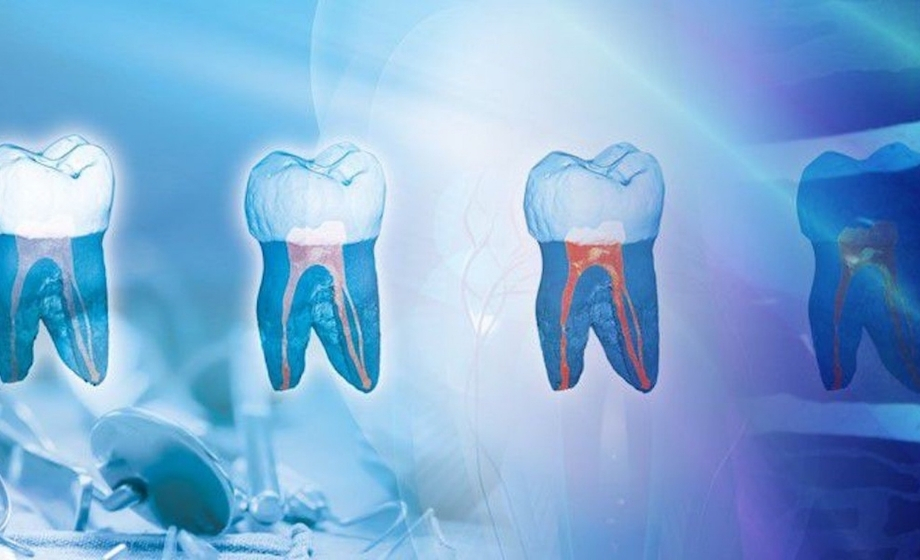 Micro-CT in 3D Data Integration and (Clinical) Workflows for Digital Orthodontics