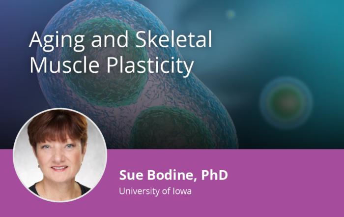 Aging and Skeletal Muscle Plasticity