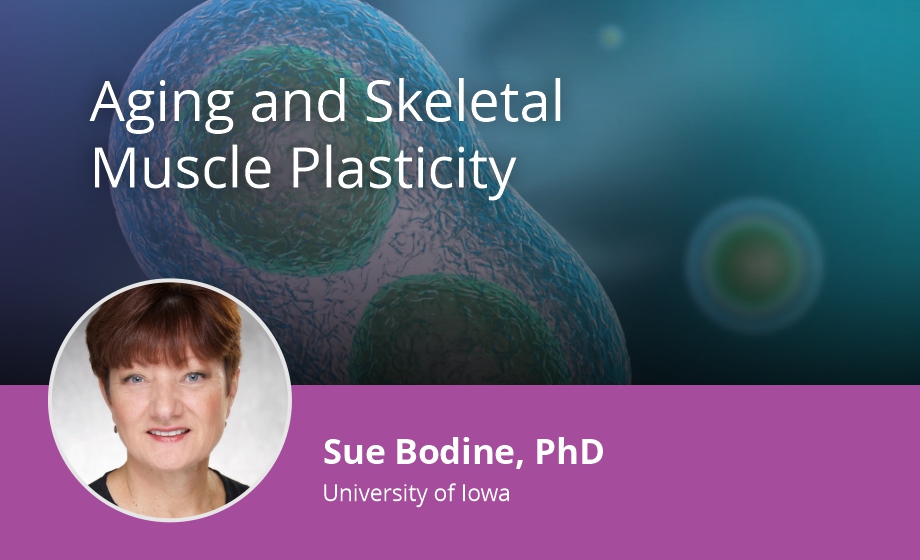 Sue Bodine, PhD