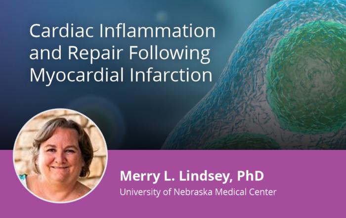 Cardiac Inflammation and Repair Following Myocardial Infarction
