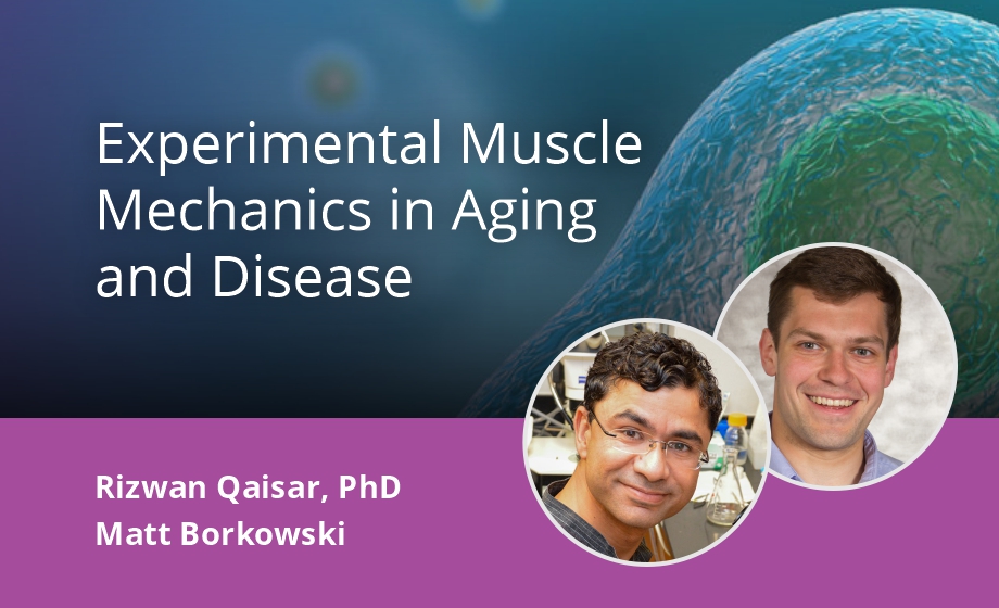 Experimental Muscle Mechanics in Aging and Disease