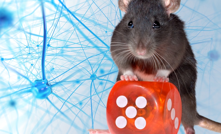 Sex, Drugs, and Bad Choices-Modeling Human Decision Making in Rats